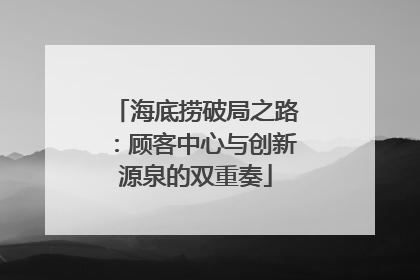 海底捞破局之路：顾客中心与创新源泉的双重奏