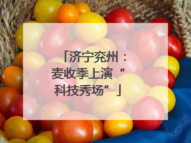 济宁兖州：麦收季上演“科技秀场”