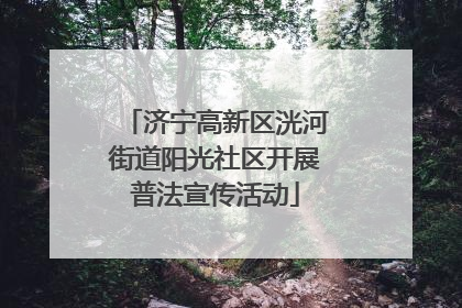 济宁高新区洸河街道阳光社区开展普法宣传活动