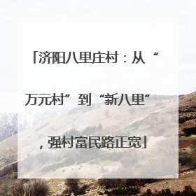 济阳八里庄村：从“万元村”到“新八里”，强村富民路正宽