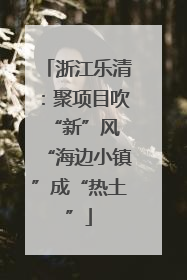 浙江乐清：聚项目吹“新”风 “海边小镇”成“热土”