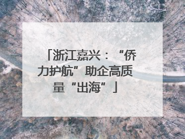 浙江嘉兴：“侨力护航”助企高质量“出海”