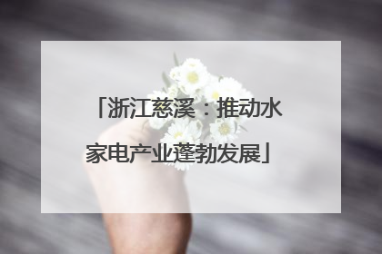 浙江慈溪：推动水家电产业蓬勃发展
