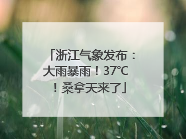 浙江气象发布：大雨暴雨！37℃！桑拿天来了