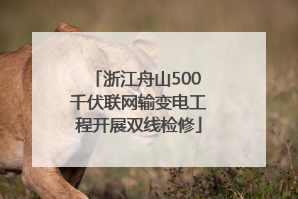 浙江舟山500千伏联网输变电工程开展双线检修
