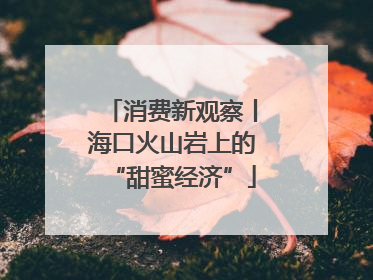 消费新观察丨海口火山岩上的“甜蜜经济”