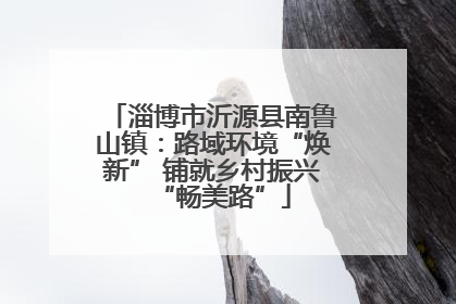 淄博市沂源县南鲁山镇：路域环境“焕新” 铺就乡村振兴“畅美路”