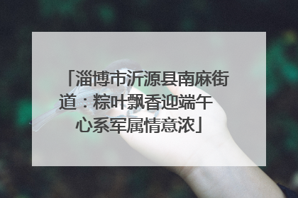 淄博市沂源县南麻街道：粽叶飘香迎端午 心系军属情意浓