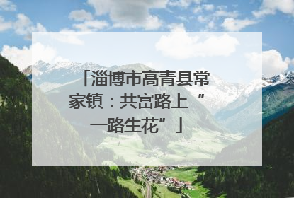 淄博市高青县常家镇：共富路上“一路生花”