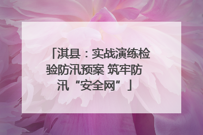 淇县：实战演练检验防汛预案 筑牢防汛“安全网”