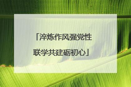 淬炼作风强党性 联学共建砺初心