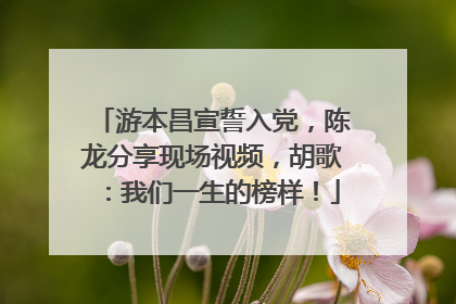 游本昌宣誓入党，陈龙分享现场视频，胡歌：我们一生的榜样！
