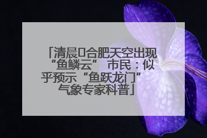 清晨﻿合肥天空出现“鱼鳞云” 市民：似乎预示“鱼跃龙门” 气象专家科普