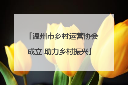 温州市乡村运营协会成立 助力乡村振兴