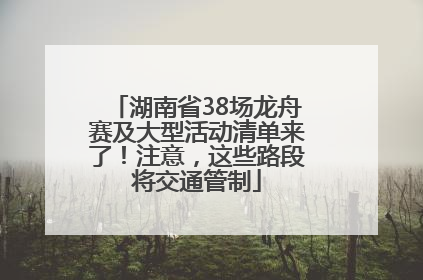 湖南省38场龙舟赛及大型活动清单来了！注意，这些路段将交通管制