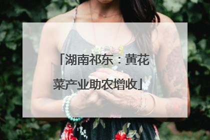 湖南祁东：黄花菜产业助农增收