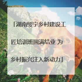 湖南绥宁乡村建设工匠培训班圆满结业 为乡村振兴注入新动力