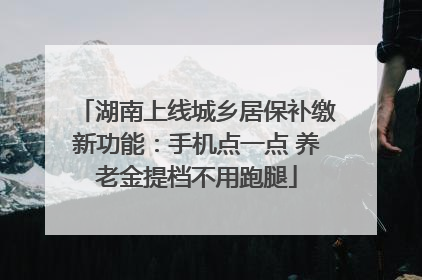 湖南上线城乡居保补缴新功能：手机点一点 养老金提档不用跑腿