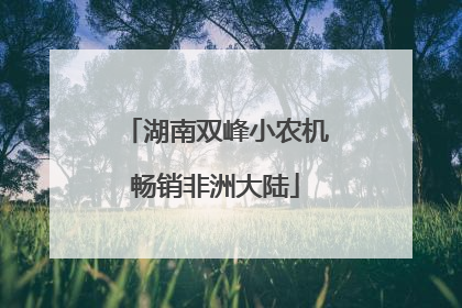 湖南双峰小农机畅销非洲大陆