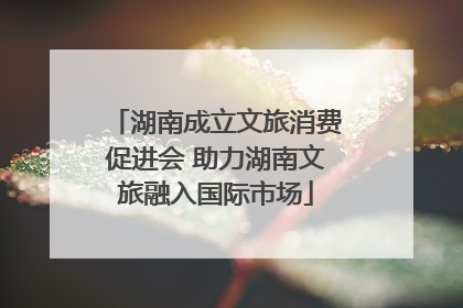 湖南成立文旅消费促进会 助力湖南文旅融入国际市场