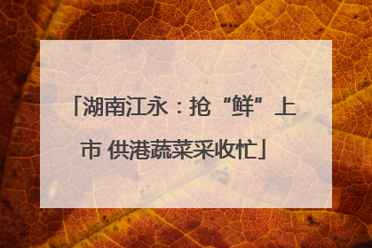 湖南江永：抢“鲜”上市 供港蔬菜采收忙
