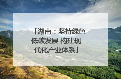 湖南：坚持绿色低碳发展 构建现代化产业体系