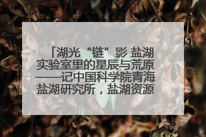湖光“链”影 盐湖实验室里的星辰与荒原——记中国科学院青海盐湖研究所，盐湖资源化学实验室党总支书记、副主任刘忠