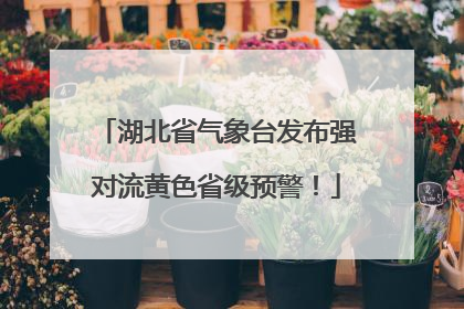 湖北省气象台发布强对流黄色省级预警！