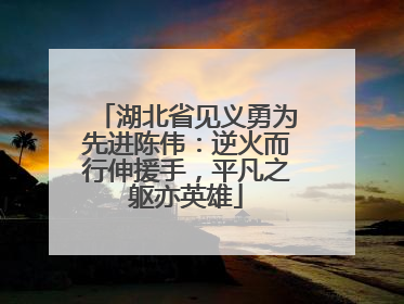 湖北省见义勇为先进陈伟：逆火而行伸援手，平凡之躯亦英雄