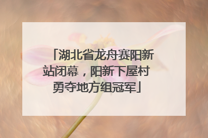 湖北省龙舟赛阳新站闭幕，阳新下屋村勇夺地方组冠军