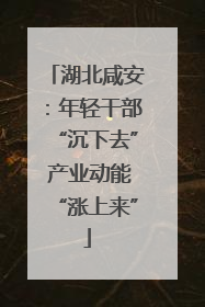 湖北咸安：年轻干部“沉下去” 产业动能“涨上来”