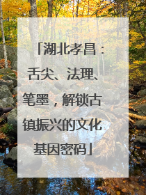 湖北孝昌：舌尖、法理、笔墨，解锁古镇振兴的文化基因密码