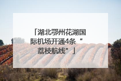 湖北鄂州花湖国际机场开通4条“荔枝航线”