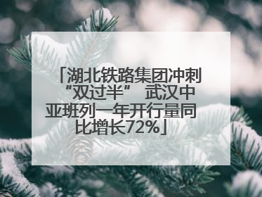 湖北铁路集团冲刺“双过半” 武汉中亚班列一年开行量同比增长72%