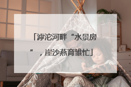 滹沱河畔“水景房”，崖沙燕育雏忙
