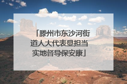 滕州市东沙河街道人大代表显担当实地督导保安康
