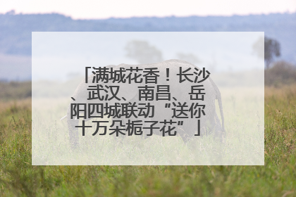 满城花香！长沙、武汉、南昌、岳阳四城联动“送你十万朵栀子花”