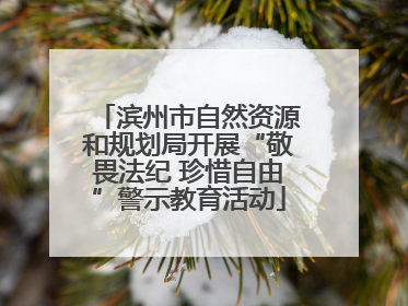 滨州市自然资源和规划局开展“敬畏法纪 珍惜自由”警示教育活动