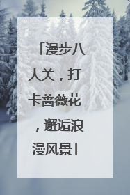 漫步八大关，打卡蔷薇花，邂逅浪漫风景