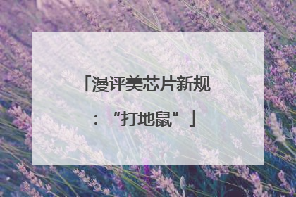 漫评美芯片新规：“打地鼠”