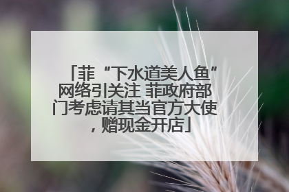 菲“下水道美人鱼”网络引关注 菲政府部门考虑请其当官方大使，赠现金开店