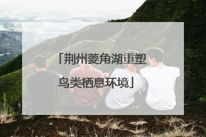 荆州菱角湖重塑鸟类栖息环境