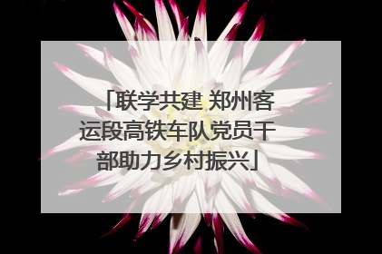 联学共建 郑州客运段高铁车队党员干部助力乡村振兴
