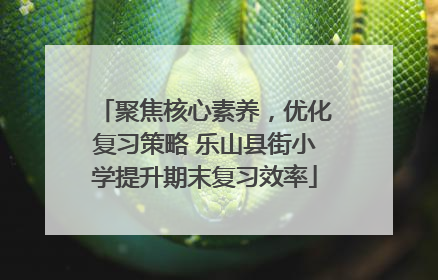 聚焦核心素养，优化复习策略 乐山县街小学提升期末复习效率