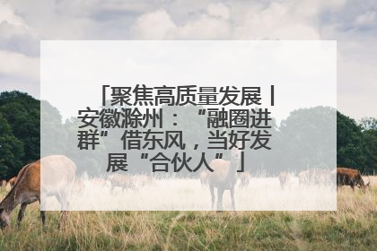 聚焦高质量发展丨安徽滁州：“融圈进群”借东风，当好发展“合伙人”