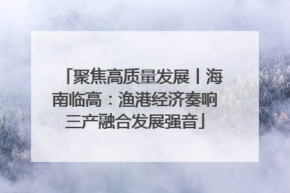 聚焦高质量发展丨海南临高：渔港经济奏响三产融合发展强音