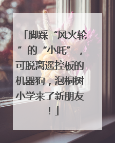 脚踩“风火轮”的“小吒”，可脱离遥控板的机器狗，泡桐树小学来了新朋友！