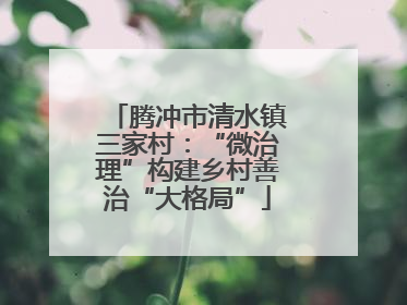 腾冲市清水镇三家村：“微治理”构建乡村善治“大格局”