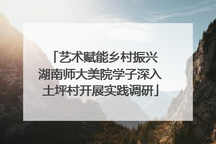 艺术赋能乡村振兴 湖南师大美院学子深入土坪村开展实践调研