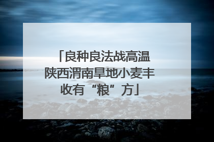 良种良法战高温 陕西渭南旱地小麦丰收有“粮”方